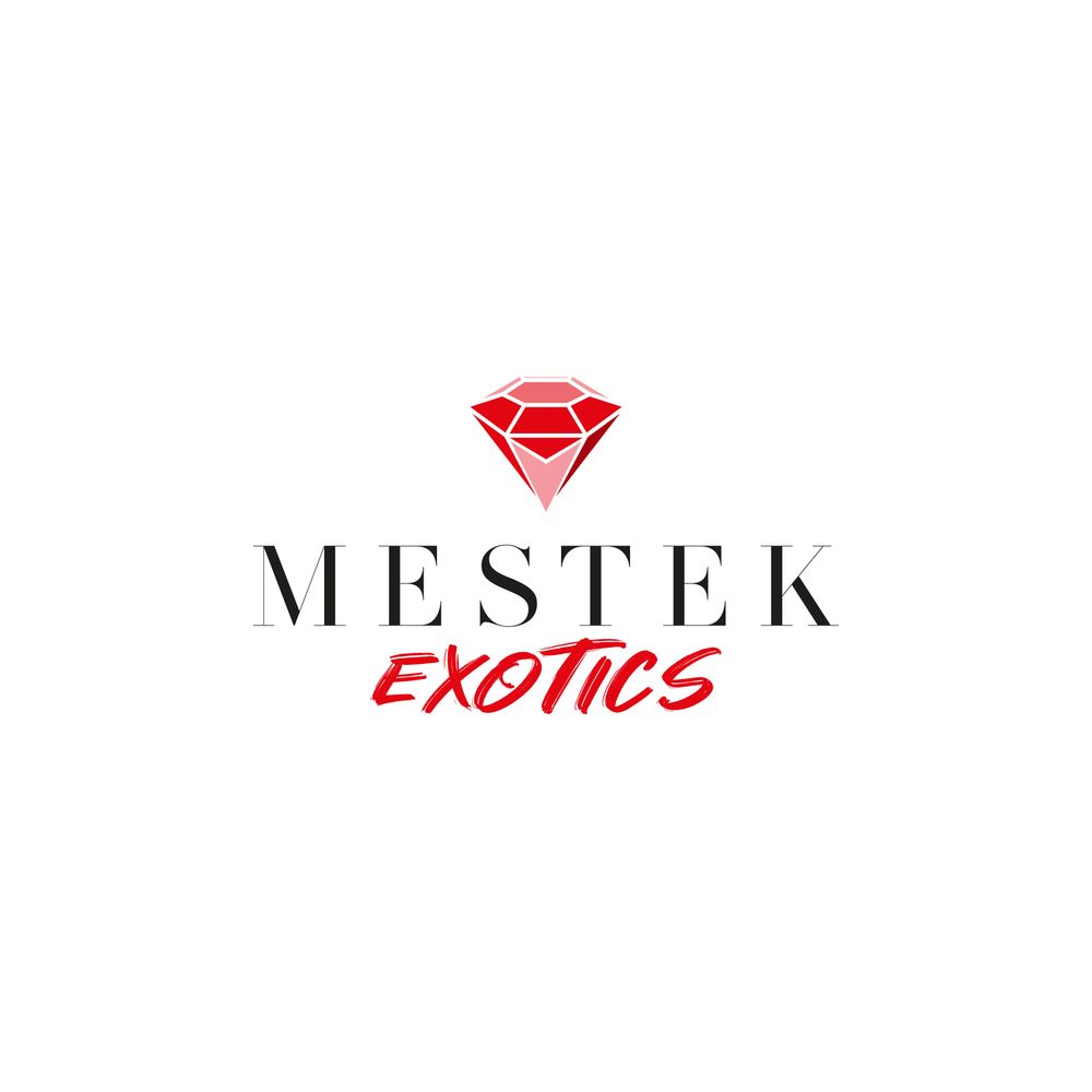 Mücevher Tasarım Firmasına Logo
