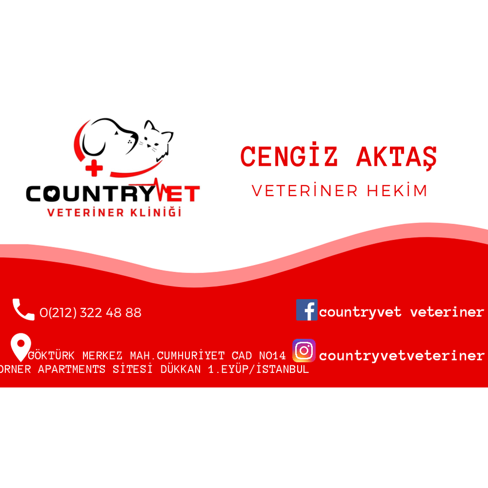 Tasarım #32