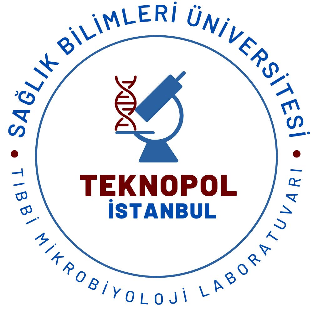 Tasarım #13