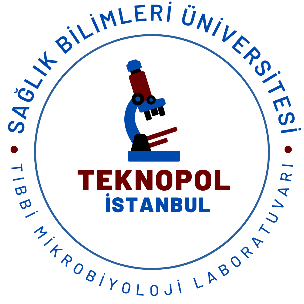 Tasarım #15