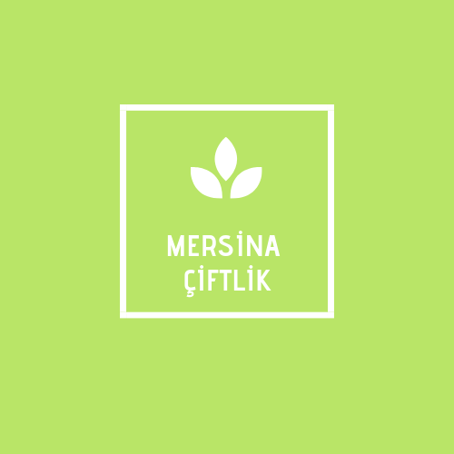 Tasarım #172