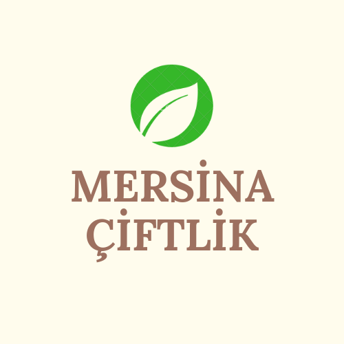 Tasarım #173