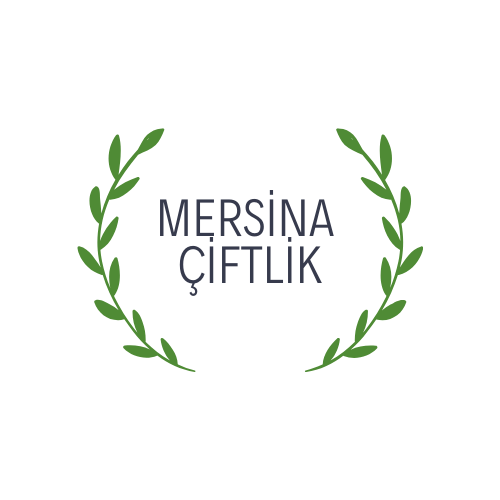 Tasarım #176