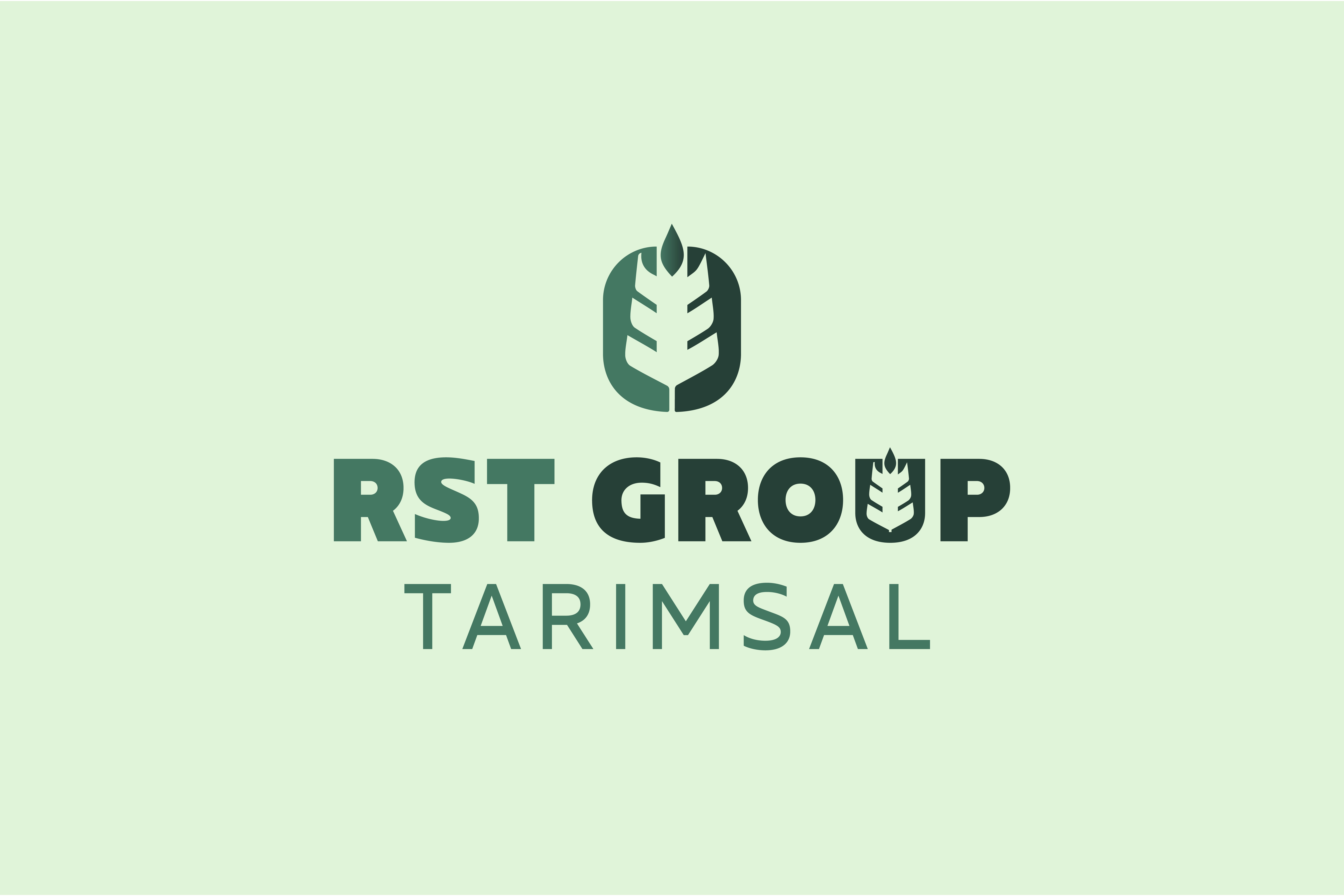 Tasarım #213