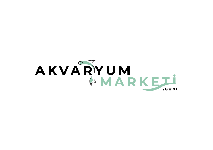 Tasarım #242