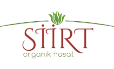 Tasarım #67