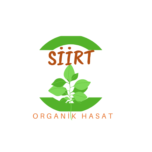 Tasarım #87