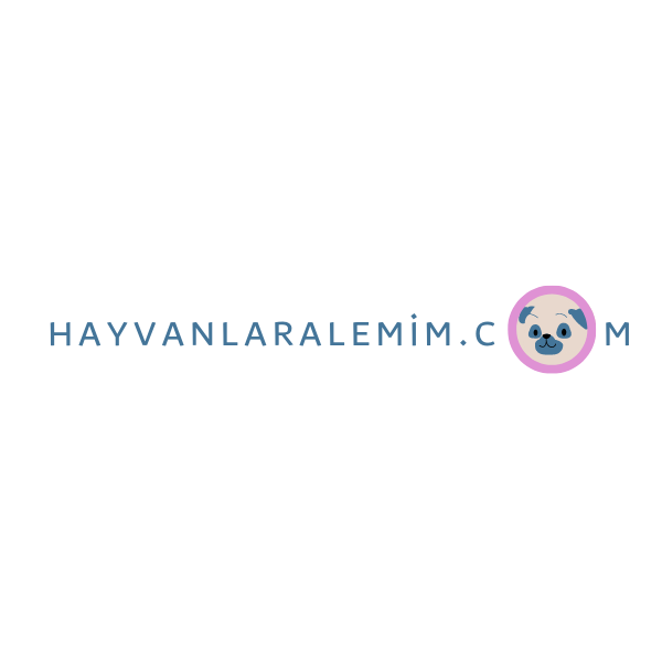 Tasarım #6