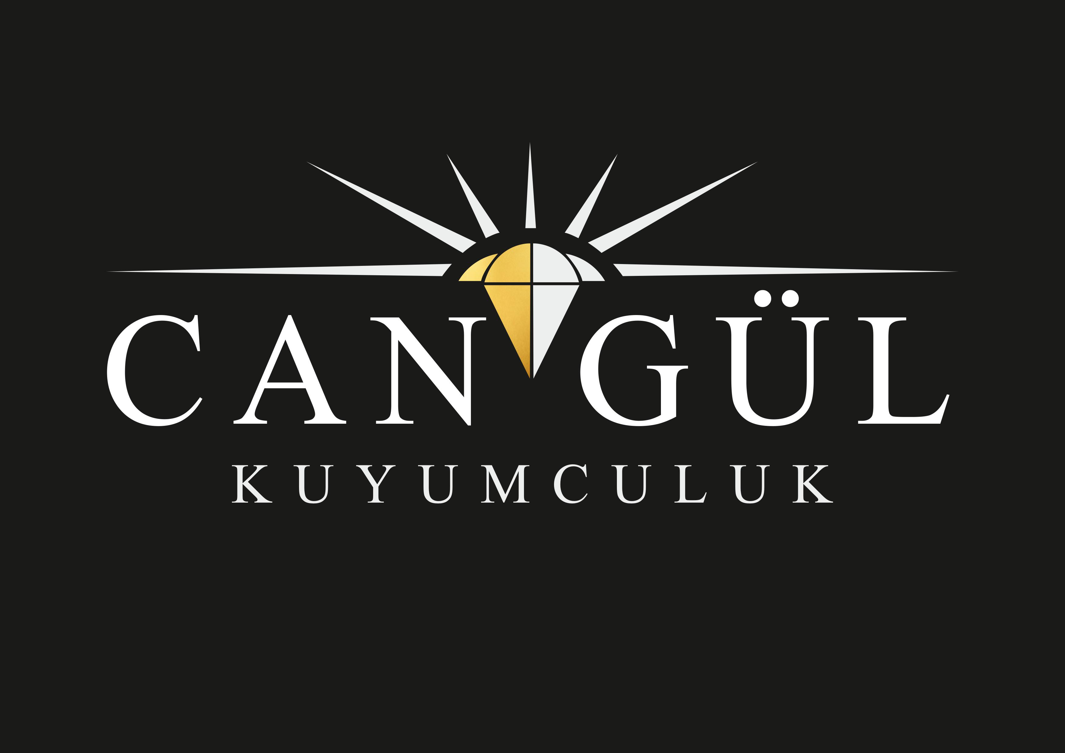 Tasarım #30