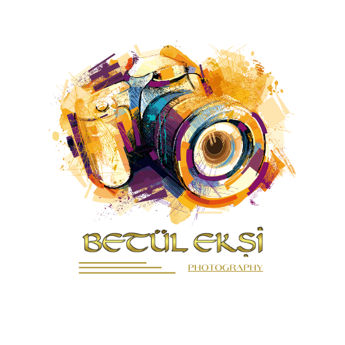 Tasarım #24
