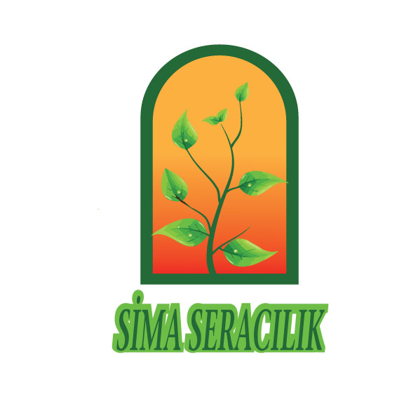 Tasarım #34