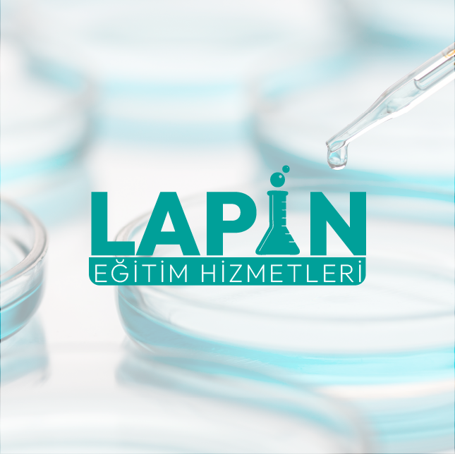 Tasarım #1