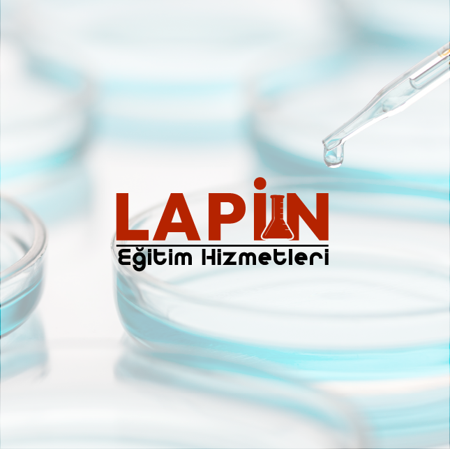 Tasarım #2