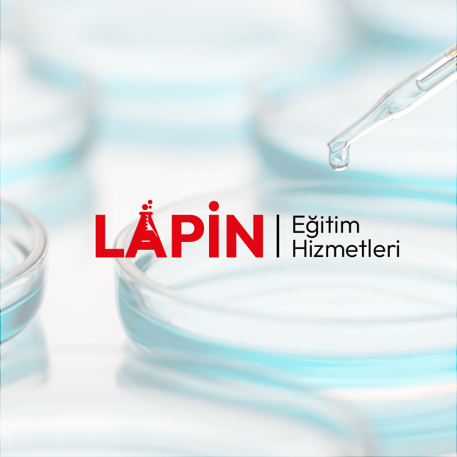 Tasarım #4