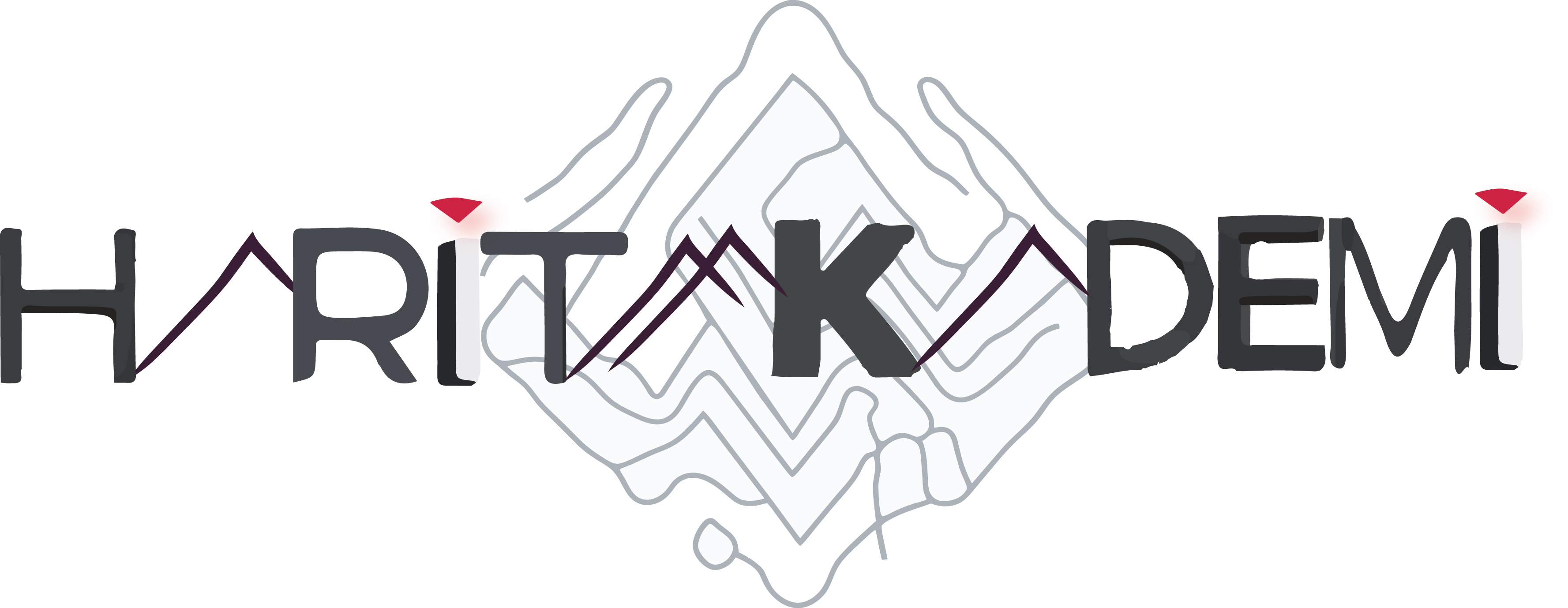 Tasarım #24